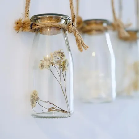 Au P'tit Bonheur Rothbach